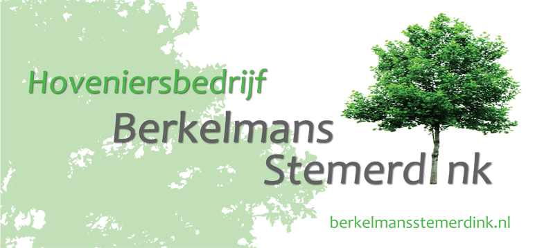 logo BerkelmansStemerdink